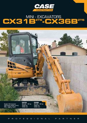 Mini excavatoare Case CX 31 B ZTS