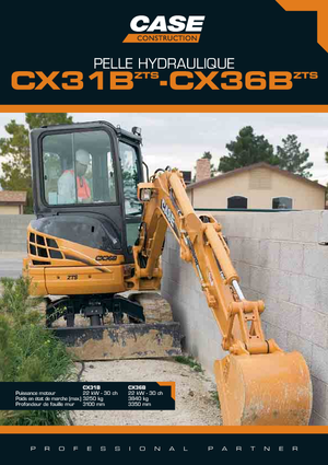 Mini excavatoare Case CX 31 B ZTS