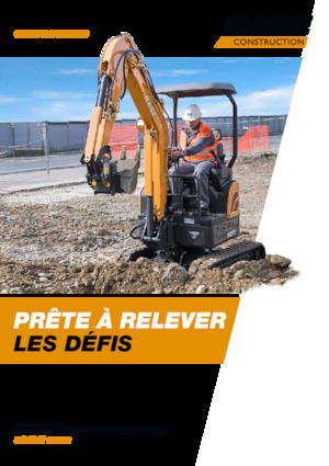 Mini excavatoare Case CX19C