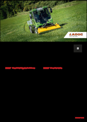 Vehicule municipale multifuncționale diesel Ladog E 1400