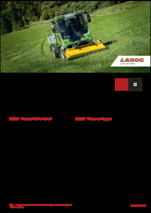 Vehicule municipale multifuncționale diesel Ladog E 1400