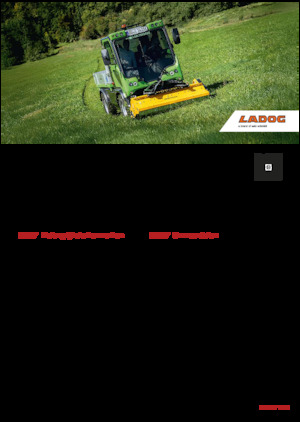 Vehicule municipale multifuncționale diesel Ladog E 1400