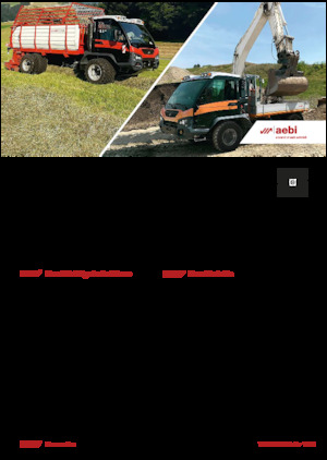 Vehicule municipale multifuncționale diesel Aebi TP 470 Vario