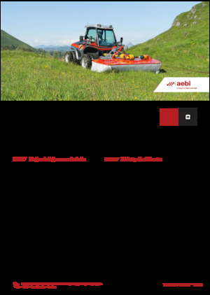 Vehicule municipale multifuncționale diesel Aebi TT 211+