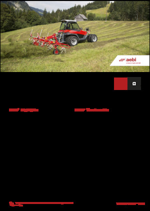 Vehicule municipale multifuncționale diesel Aebi TT 241+