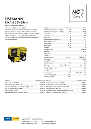 Generatoare de curent pe benzină Eisemann BSKA 6.5 EV