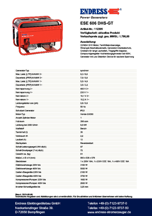 Generatoare de curent pe benzină Endress ESE 606 DHS-GT