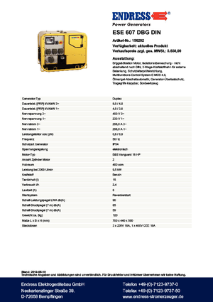 Generatoare de curent pe benzină Endress ESE 607 DBG DIN