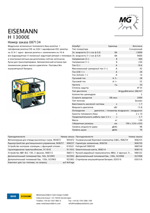 Generatoare de curent pe benzină Eisemann H 13000 E