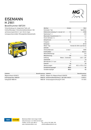 Generatoare de curent pe benzină Eisemann H 2901