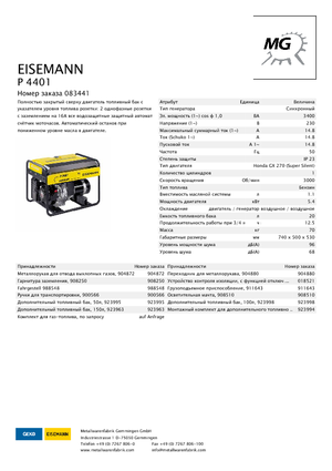 Generatoare de curent pe benzină Eisemann P 4401