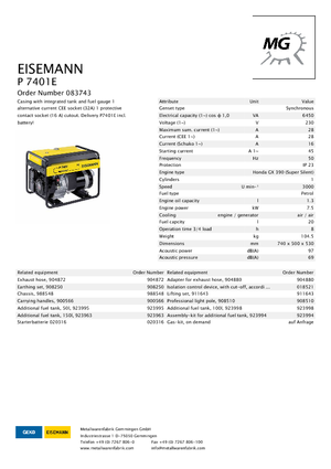Generatoare de curent pe benzină Eisemann P 7401 E