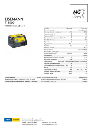 Generatoare de curent pe benzină Eisemann T 2500