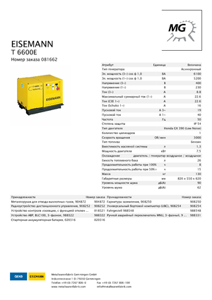Generatoare de curent pe benzină Eisemann T 6600 E