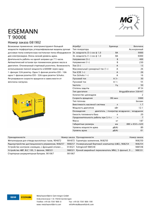 Generatoare de curent pe benzină Eisemann T 9000 E