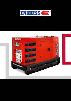 Generatoare de curent diesel Endress ESE 45 YW/RS