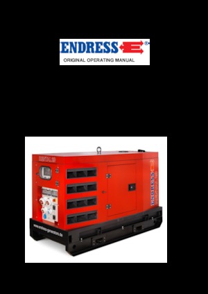 Generatoare de curent diesel Endress ESE 45 YW/RS