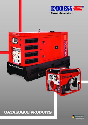 Generatoare de curent diesel Endress ESE 30 YW/RS