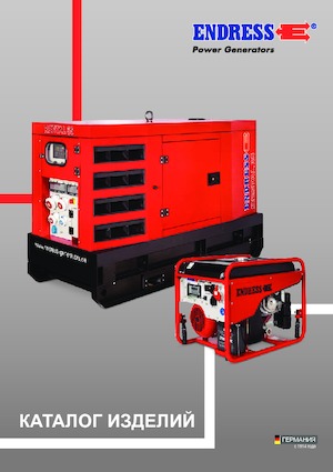 Generatoare de curent diesel Endress ESE 30 YW/RS
