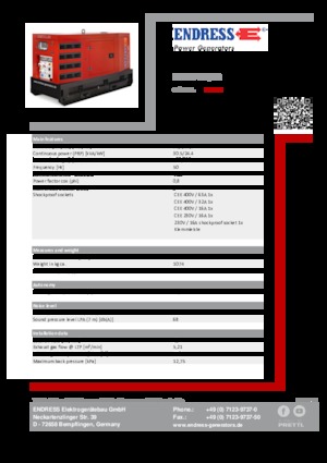 Generatoare de curent diesel Endress ESE 35 YW/RS