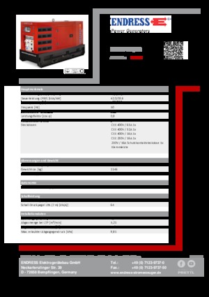 Generatoare de curent diesel Endress ESE 50 YW/RS