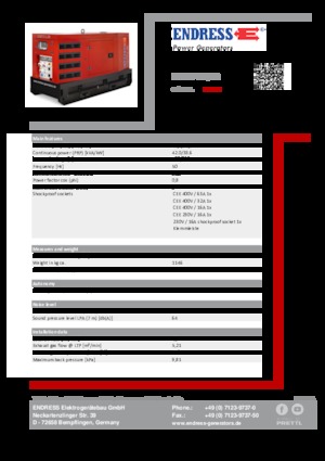 Generatoare de curent diesel Endress ESE 50 YW/RS