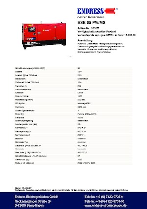 Generatoare de curent diesel Endress ESE 65 PW/MS