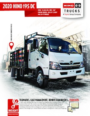 Șasiuri rigide Hino 2020 HINO 195 DC 4x2