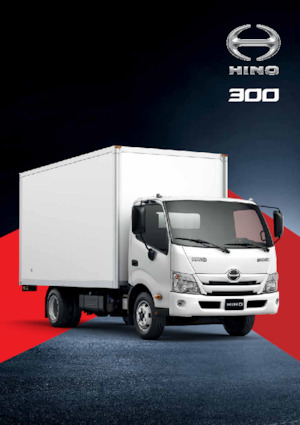 Șasiuri rigide Hino 300 916 LWB MT