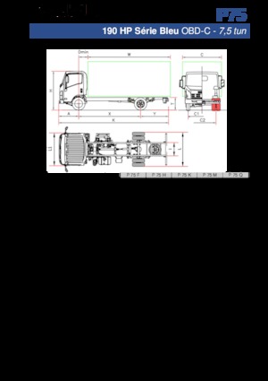 Șasiuri rigide Isuzu P75 Q