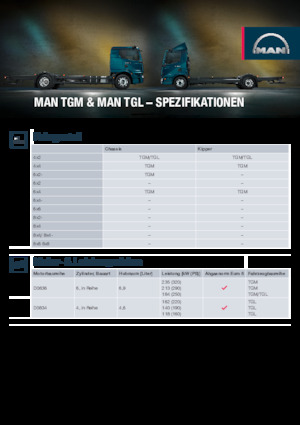 Șasiuri rigide MAN TGL 12.250
