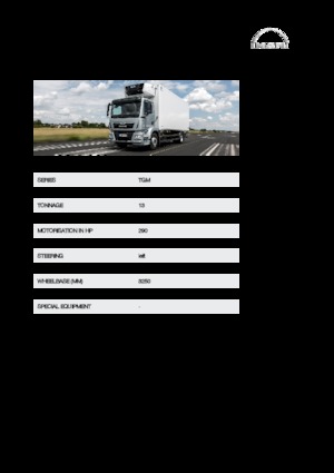 Șasiuri rigide MAN TGM 13.290 4x4