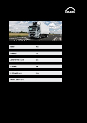 Șasiuri rigide MAN TGM 18.250 4x4