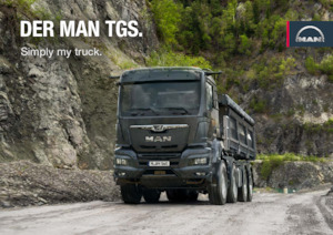 Șasiuri rigide MAN TGS 26.480