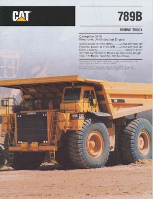 Basculante rigide Caterpillar 789B
