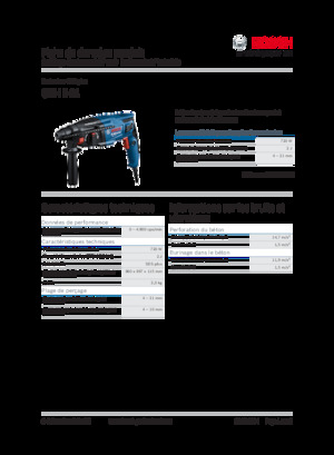 Ciocane rotative Bosch GBH 2-21