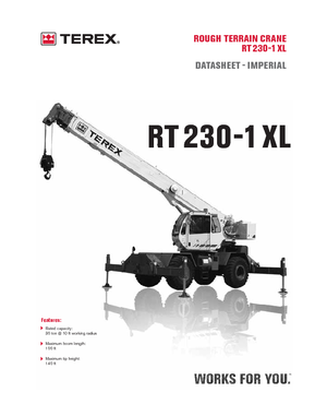 Macarale pentru teren accidentat Terex Bendini RT 230-1 XL