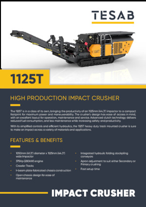 Stații de reciclare moloz Tesab 1125T