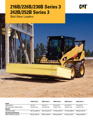 Mini încărcătoare Caterpillar 216B II