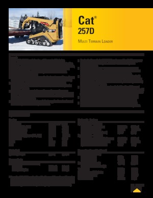 Mini încărcătoare Caterpillar 257D