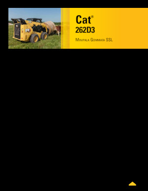 Mini încărcătoare Caterpillar 262D Series 3