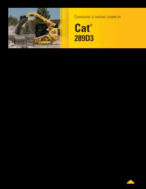 Mini încărcătoare Caterpillar 289D Serie 3 Deltalader