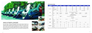 Mini încărcătoare Sunward SWTL 4210