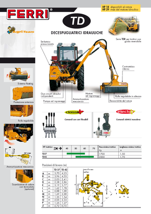 Echipamente de cosit în pantă Ferri TD 42