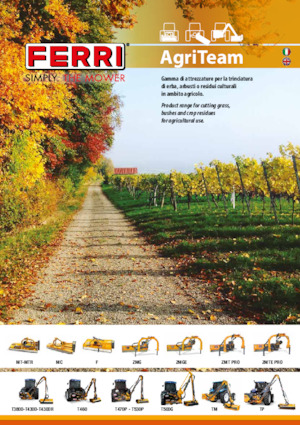 Echipamente de cosit în pantă Ferri TP 600