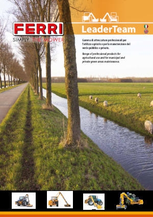 Echipamente de cosit în pantă Ferri TST50