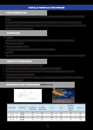 Clești/dispozitive/echipamente de tăiat metale/fier vechi Arden BC 250