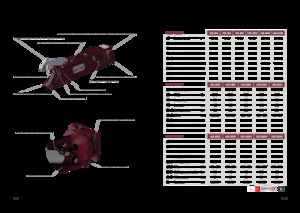 Clești/dispozitive/echipamente de tăiat metale/fier vechi Hydra Ram HSS-2RV