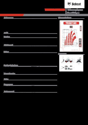 Încărcătoare telescopice cu structură superioară Bobcat TR38160EVO IIIB