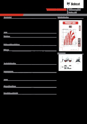 Încărcătoare telescopice cu structură superioară Bobcat TR38160EVO IIIB